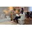 Upholstered Swivel Barrel Dining Chairs, Chenille Accent Chairs, Deep Cushion Seat (Set Of 2)-671519499