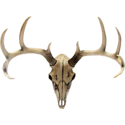 Akhsa Animals Figurines & Sculptures