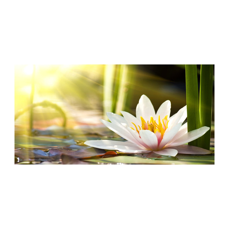 Water Lily - Wrapped Canvas Print