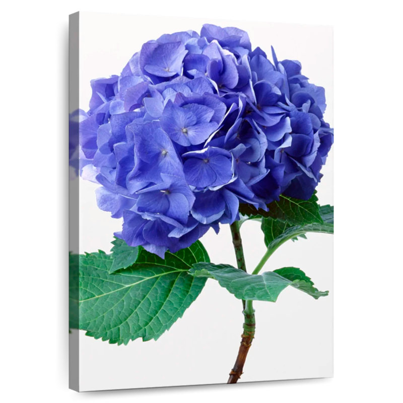 Harnek Blue Hydrangea Flowers, 39" H x 26" W