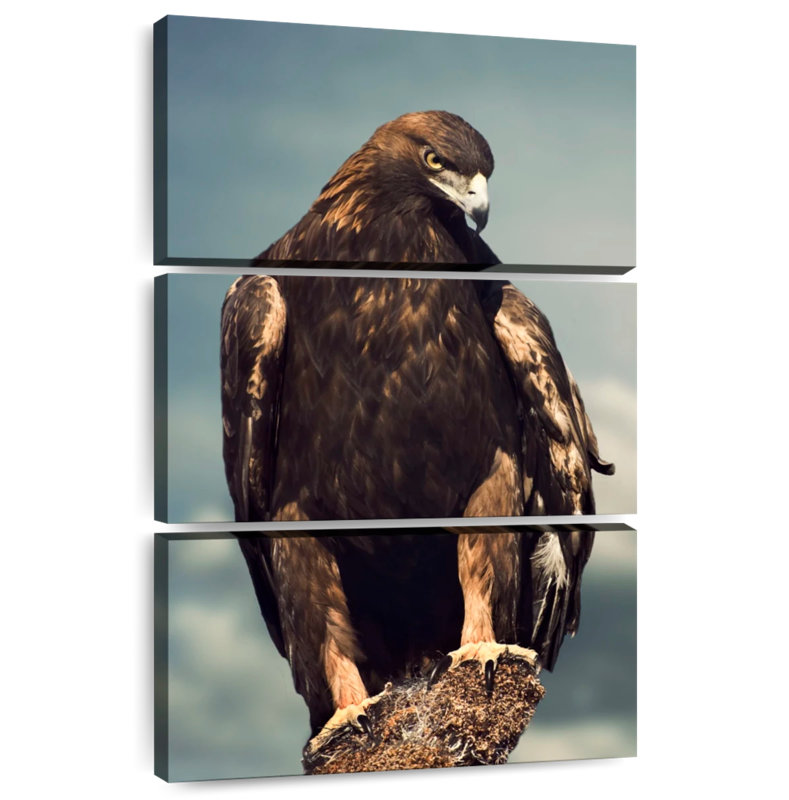 Brampt Regal Golden Eagle, 74" H x 48" W