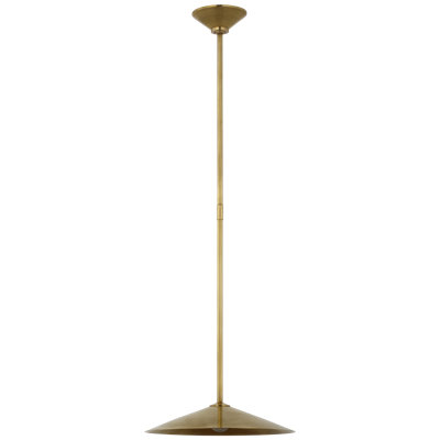 Amber Lewis Ponce Pendant with Shade