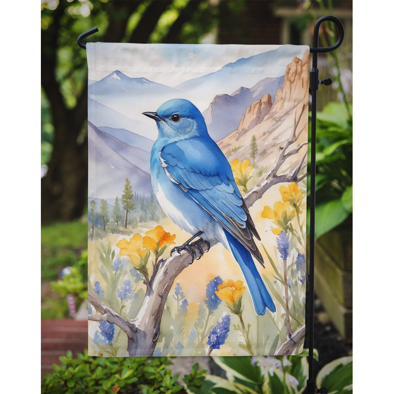 Drapeau de jardin, Merlebleu azuré du Nevada