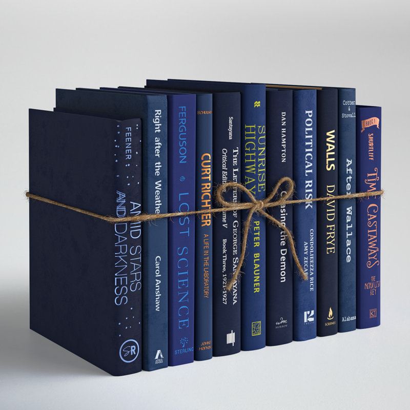 Serefina 12" W Decorative Blue Book Bundle