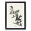 Olive-Sided Fly Catcher Bird by John Audubon - Picture Frame Painting Print-55581295-55581296