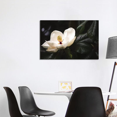 Magnolia I by Ann Hudec - Wrapped Canvas Print