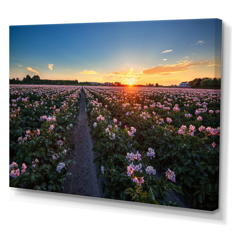 Fleurs vives au coucher du soleil - On, H 8 po x l 12 po x P 0,1 po, Toile tendue