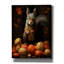 «Black Squirrel With Nuts» par Momart, art mural sur toile-1543466512