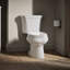 Wellworth™ 1.6 GPF Elongated Two-Piece Toilet (Seat Not Included)-101431843-10397101