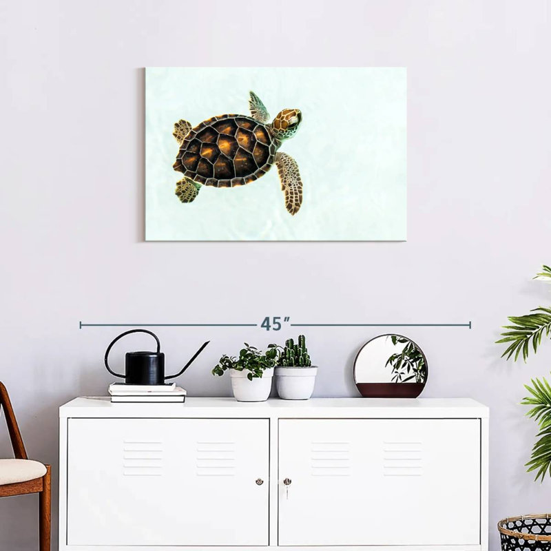 Brampt Baby Turtle, 20" H x 30" W