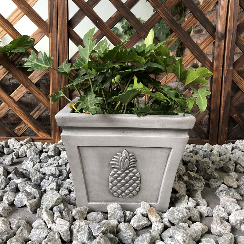 Boîte à fleurs en béton Caenas, H 9 po x l 10 po x P 10 po, Gris clair