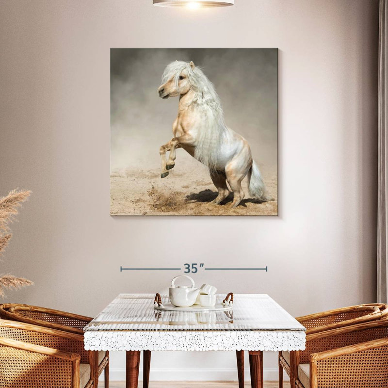 Brampt Palomino Miniature Horse, 39" H x 39" W