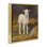 «Soft Baby Lamb», peinture sur toile par Jerry Cable