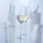 Pure 10 oz. White Wine Glass
