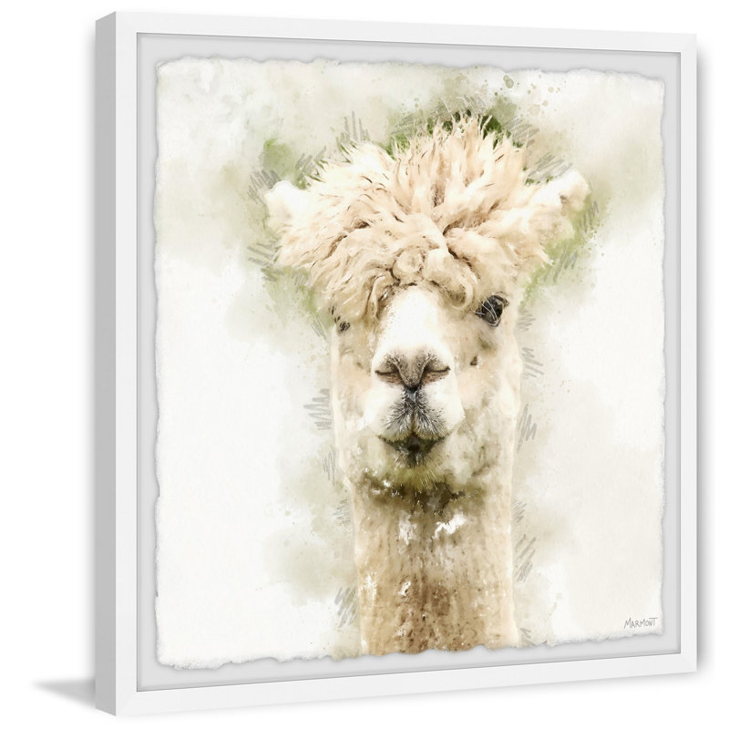 Hairy Alpaca by Marmont Hill - Single Picture Frame Painting, 41cm H x 41cm W