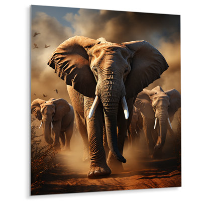" Elephant Whispers Of Africa I "