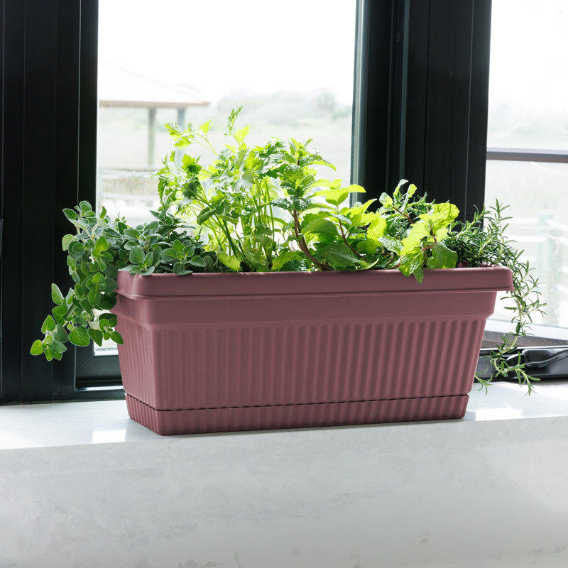Vaneka 18-in Width Plastic Fluted Window Box Planter With Saucer Tray, Pink