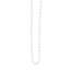 Levine Polyester Shower Curtain