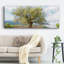 Olive sur toile-429407048