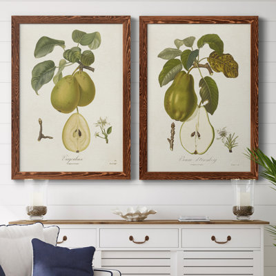 " Pears III " 2 - Pieces