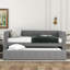 Lit de jour simple avec couchette, rembourré avec un coussin de dossier gris, cadre