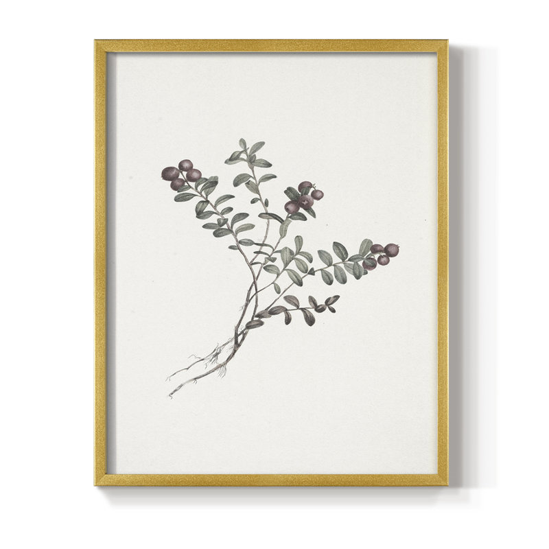 Impression florale vintage encadrée CLxxviii - bois massif, H 11 po x l 9 po, Doré