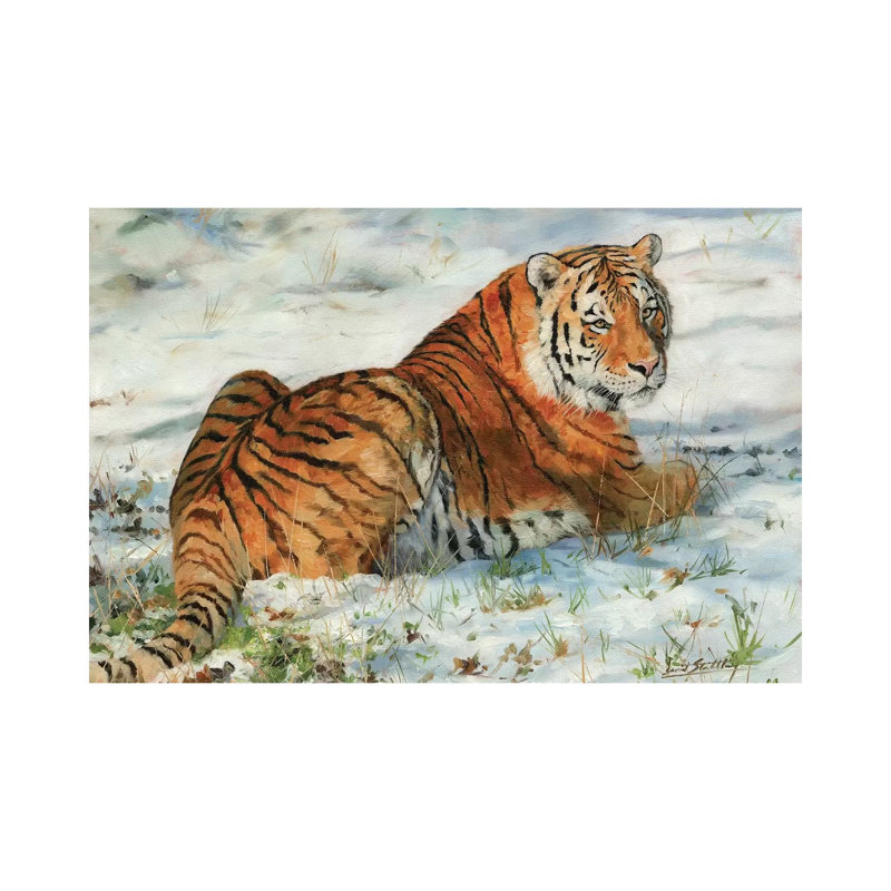 Tiger In Snow - Wrapped Canvas Print, 30.48 cm H x 45.72 cm W