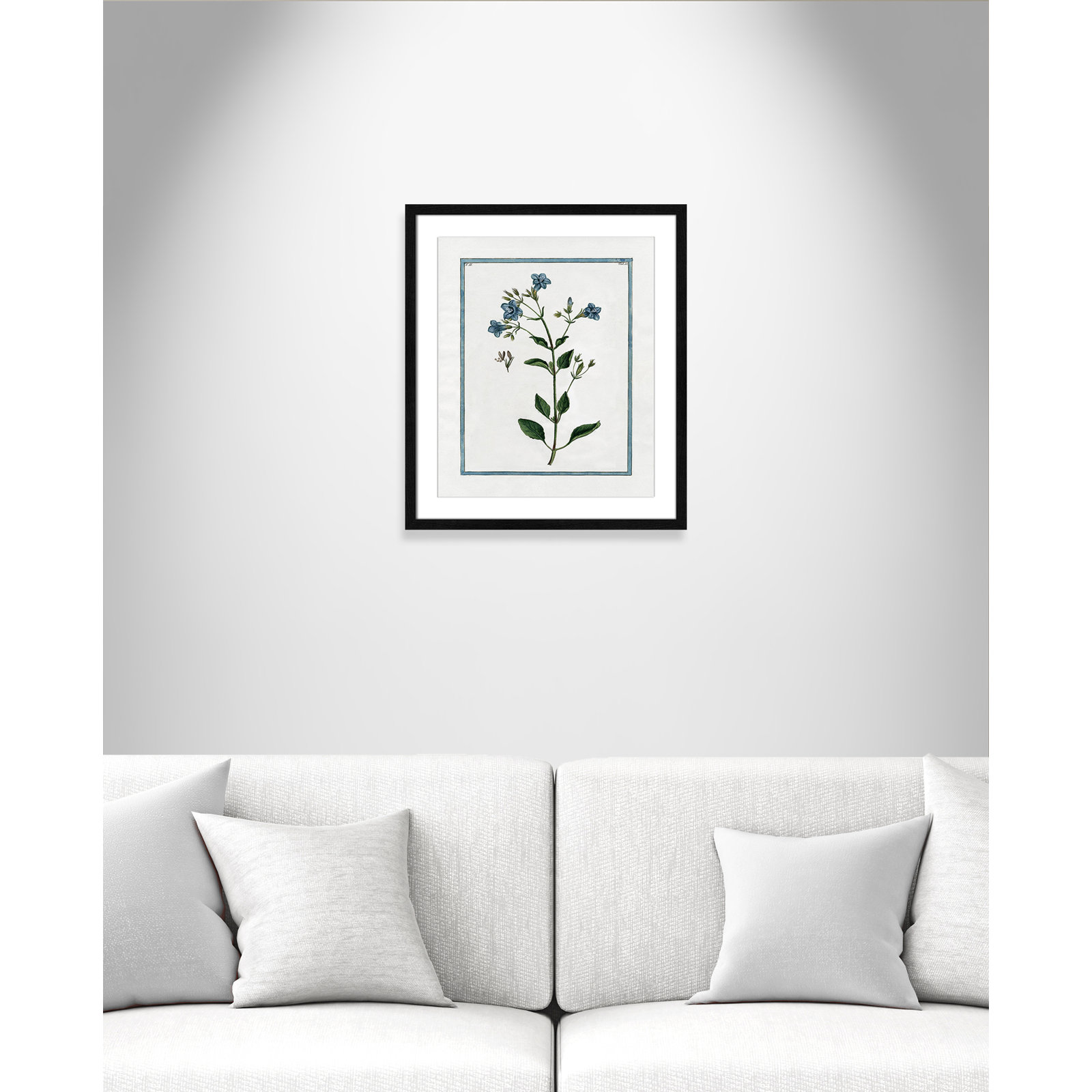 Shabby Elegance Botanical II - Framed Art, Black Framed, 16" W x 19" H