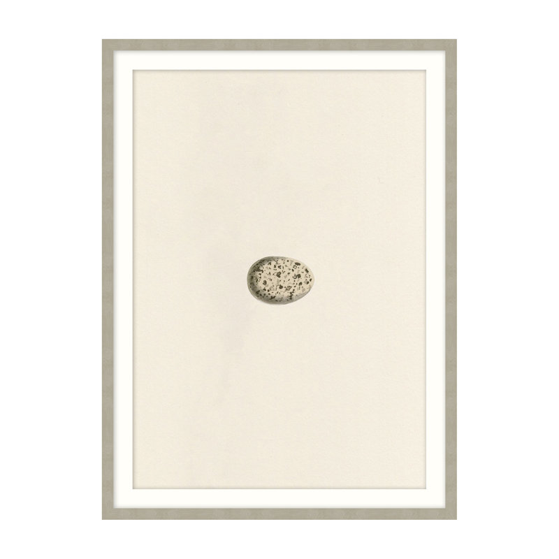 Unhatched 3 Illustration by Studio L57 Nouvelle, 15" H x 12" W