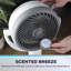 Daewoo 10 Pedestal Air Circulator Fan 3-Speed 3D Oscillation Remote 35 W Timer