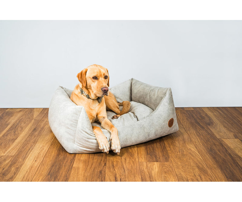 Archie & Oscar White Velour Pet Bed
