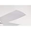 Ventilateur de plafond lumineux Hestrune