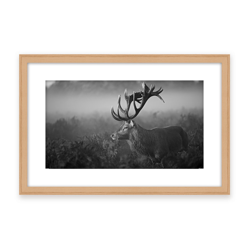 Nature Inspired Sunny Morning by  - Picture Frame Photograph on Paper, 32" H x 48" W x 1.125" D, Framed Matted Print, Black