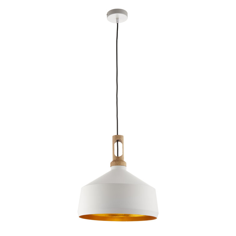 Rickey 1 - Light Dome Pendant, Matt White Paint
