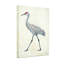 Animaux, grue du Canada marchant sur toile-697986462