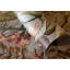 Tropical Collection Kiribati Floral Inspired 27.8' L x 27.5" W Wallpaper Roll-73447490