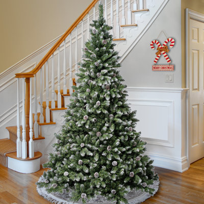 Oakley Hills Snow Tree