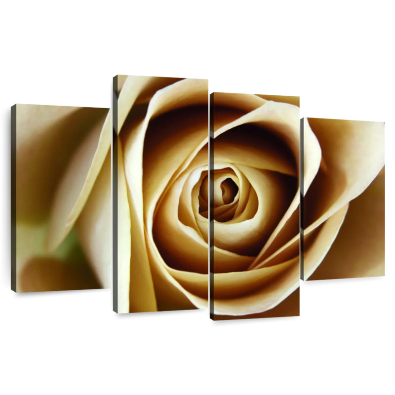 Rose Harnek en herbe beige, H 32 po x l 52 po