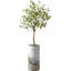 Arbre artificiel dans un pot de fleurs moderne, faux arbre en soie d'eucalyptus (décoration en pot et arbre)-85806482-85807175