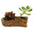 Keithley Ceramic Statue Planter-1667486485