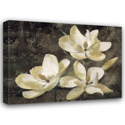 «World Menagerie Seba, John», art sur toile tendue sous le titre «The Magnolia Tree»