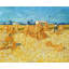 Vincent Van Gogh - Wrapped Canvas Painting-28910797
