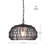 1 Light Outdoor Plug in Pendant Light
