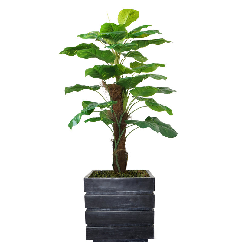 Plante à feuillage artificiel 40 po Panama, Noir