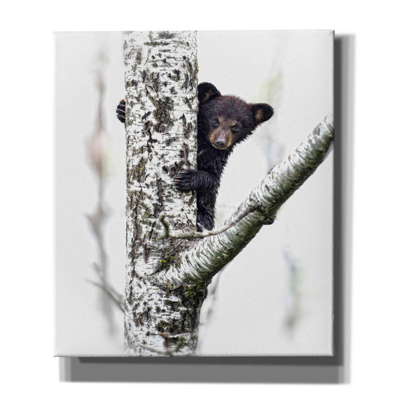 «Bears at Play V» par PH Burchett, art mural sur toile, H 34 po x l 26 po x P 1,5 po