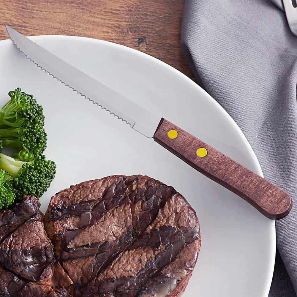 https://assets.wfcdn.com/im/71671524/compr-r85/2533/253375519/wuyi-48-piece-stainless-steel-steak-knife-set.jpg