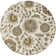 Elsberry Floral Hand-Tufted Wool Demin/Light Gray/Tan Area Rug
