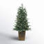 4Ft Pre Lit Potted Natural Cut Blue Spruce With 100 Lights And 605 Branch Tips