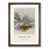 Walnut Framed