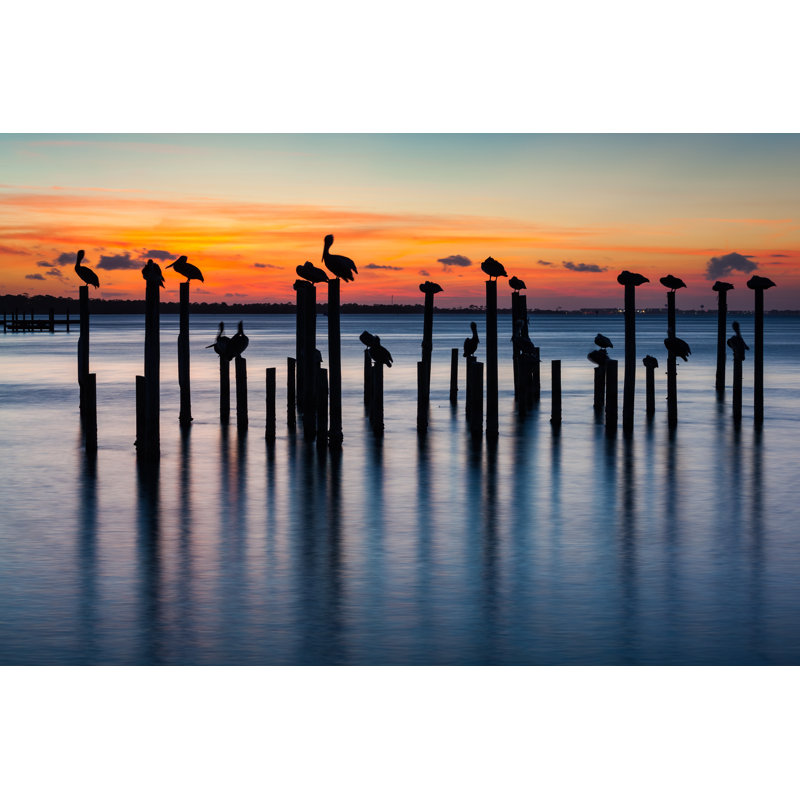 Sunset And Silhouetted Birds by Joshua McDonough - Wrapped Canvas Print, 12"H x 18"W